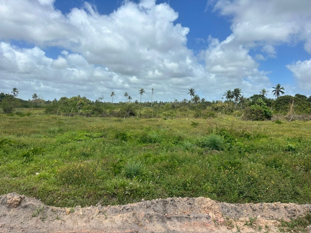 Lote na Massagueira Próximo a Lagoa — imagem 5