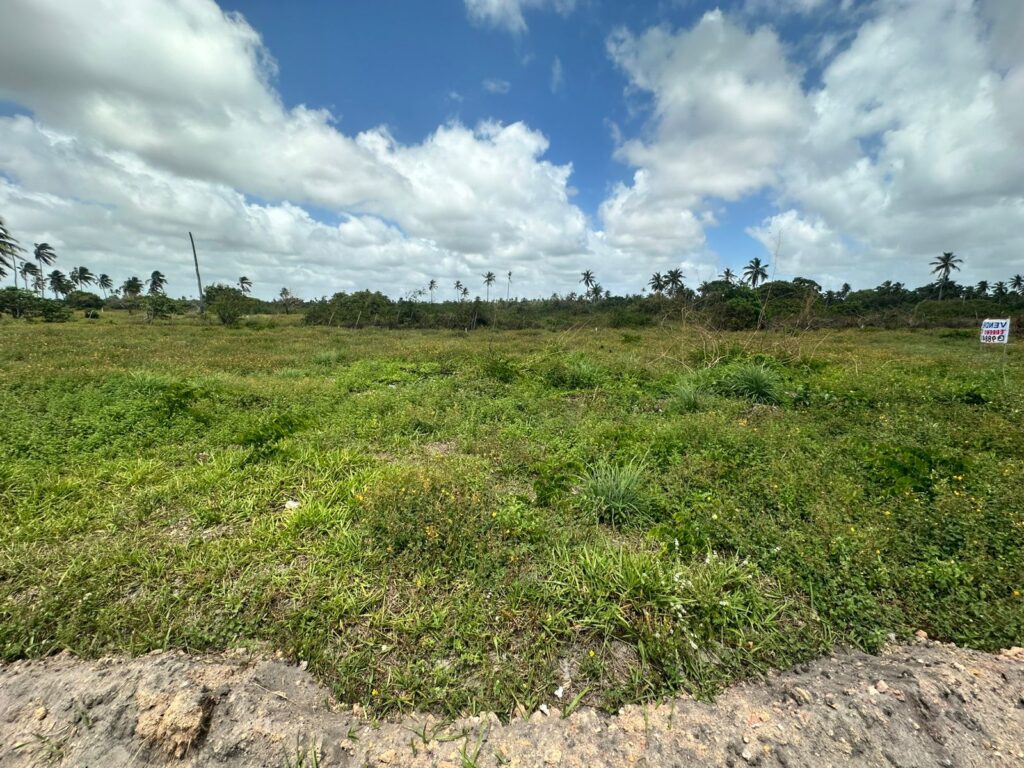 Lote na Massagueira Próximo a Lagoa — imagem 11
